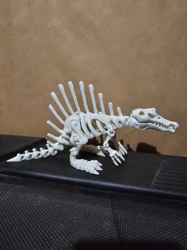 Articulated dinosaur skeleton 4 — modelo 3D
