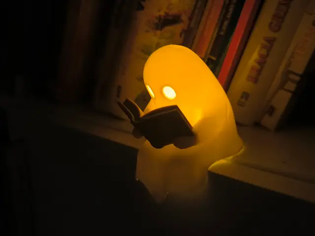 Ghost Reader — modelo 3D