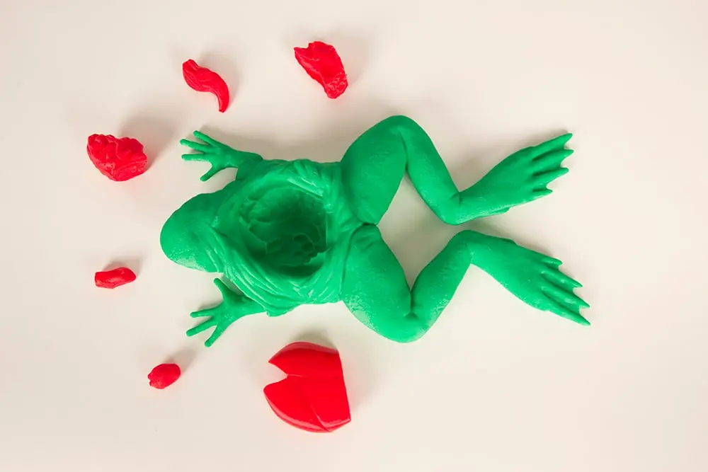 The Frog Dissection Kit — modelo 3D