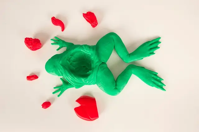 The Frog Dissection Kit — modelo 3D