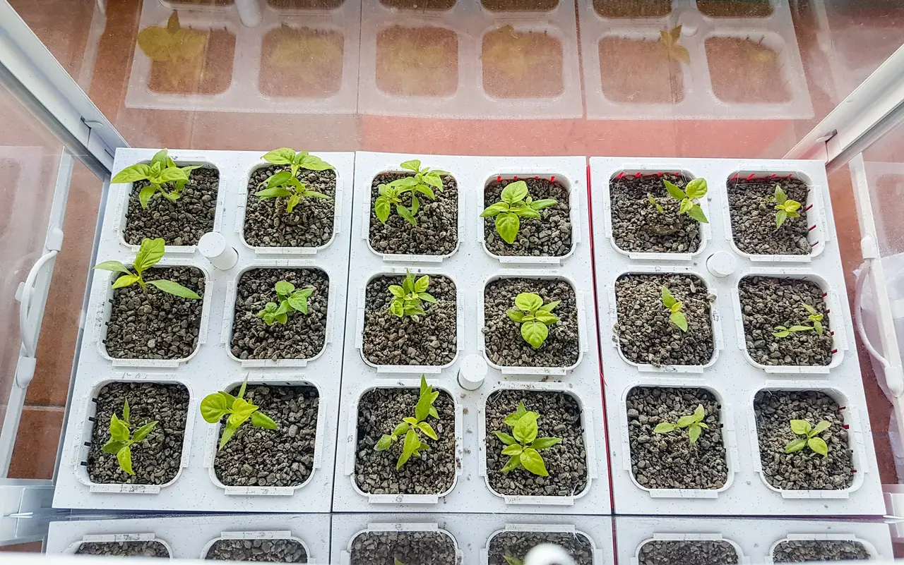 Hydroponic garden — modelo 3D