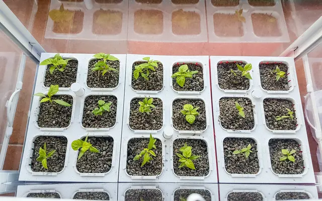 Hydroponic garden — modelo 3D