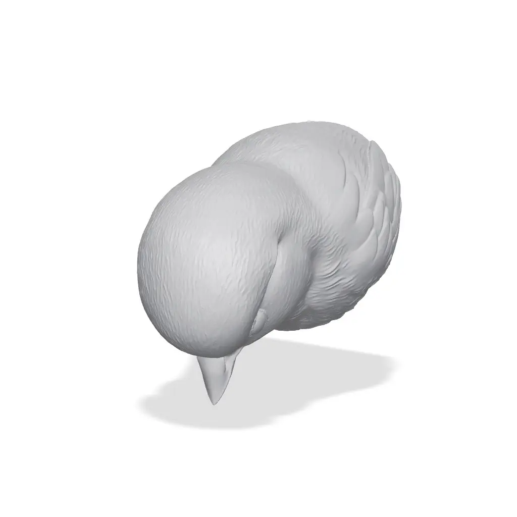 Chickadee Bust 3D Print STL — modelo 3D