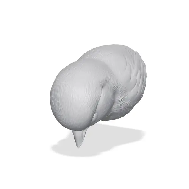 Chickadee Bust 3D Print STL — modelo 3D