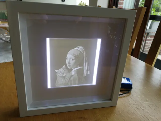 Lithophane with IKEA RIBBA frame and led lighting — modelo 3D