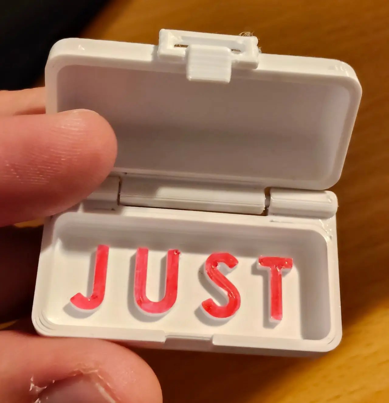 Just in Case - PRINT IN PLACE - filament hinge — modelo 3D