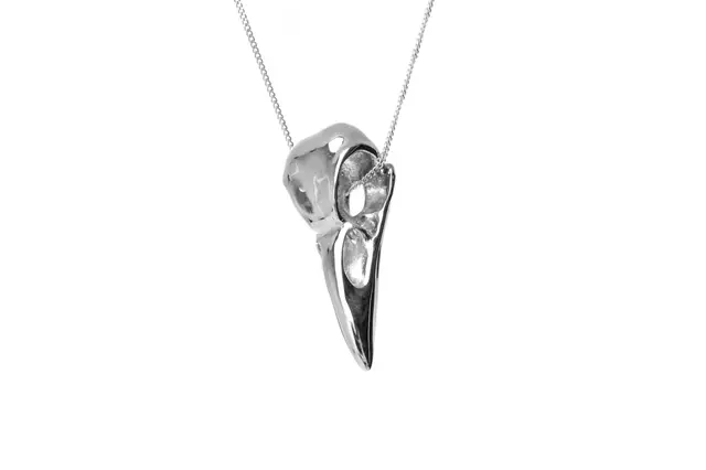 Crow's Skull — modelo 3D