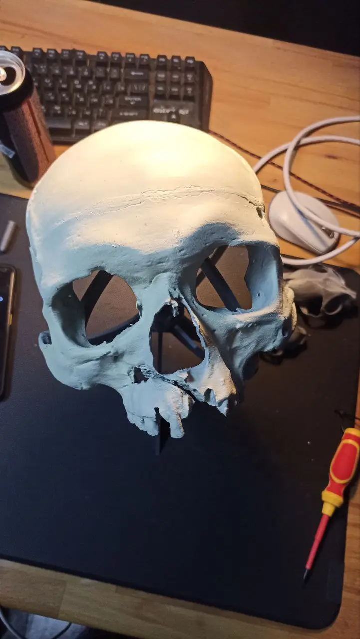 realistic skull mask — modelo 3D