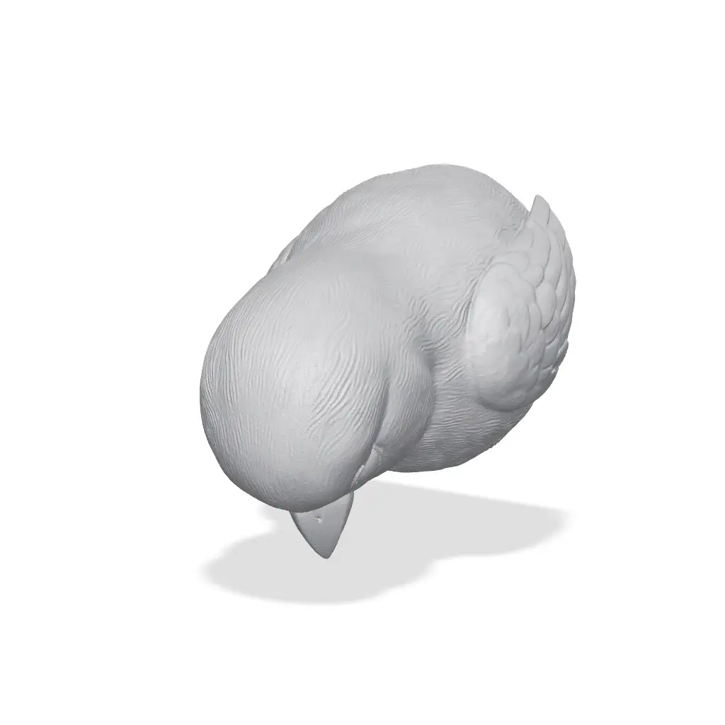 Finch Bust 3D Print STL — modelo 3D