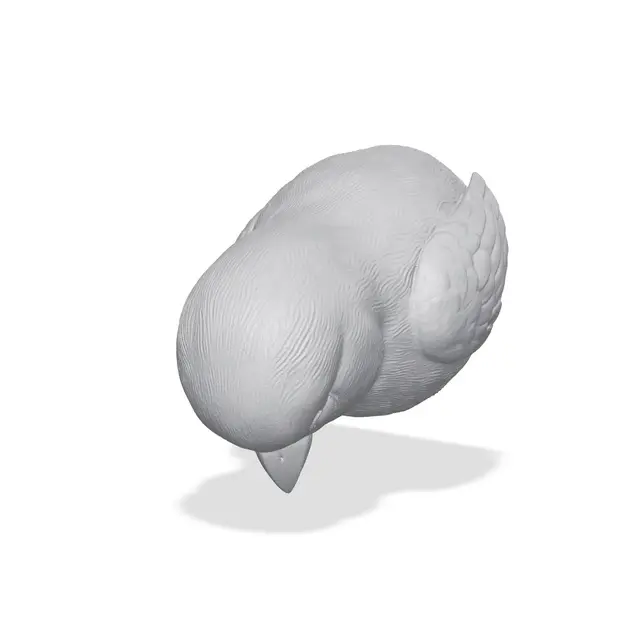 Finch Bust 3D Print STL — modelo 3D