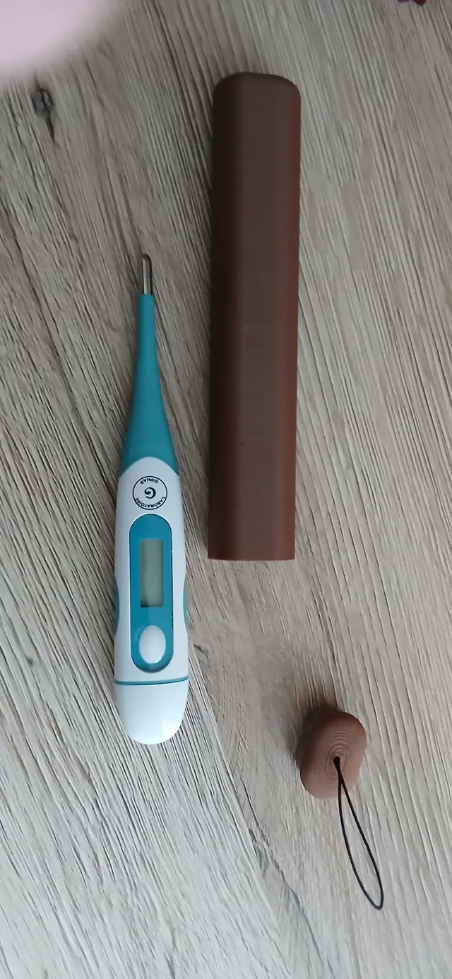 Etui rangement thermomètre — modelo 3D