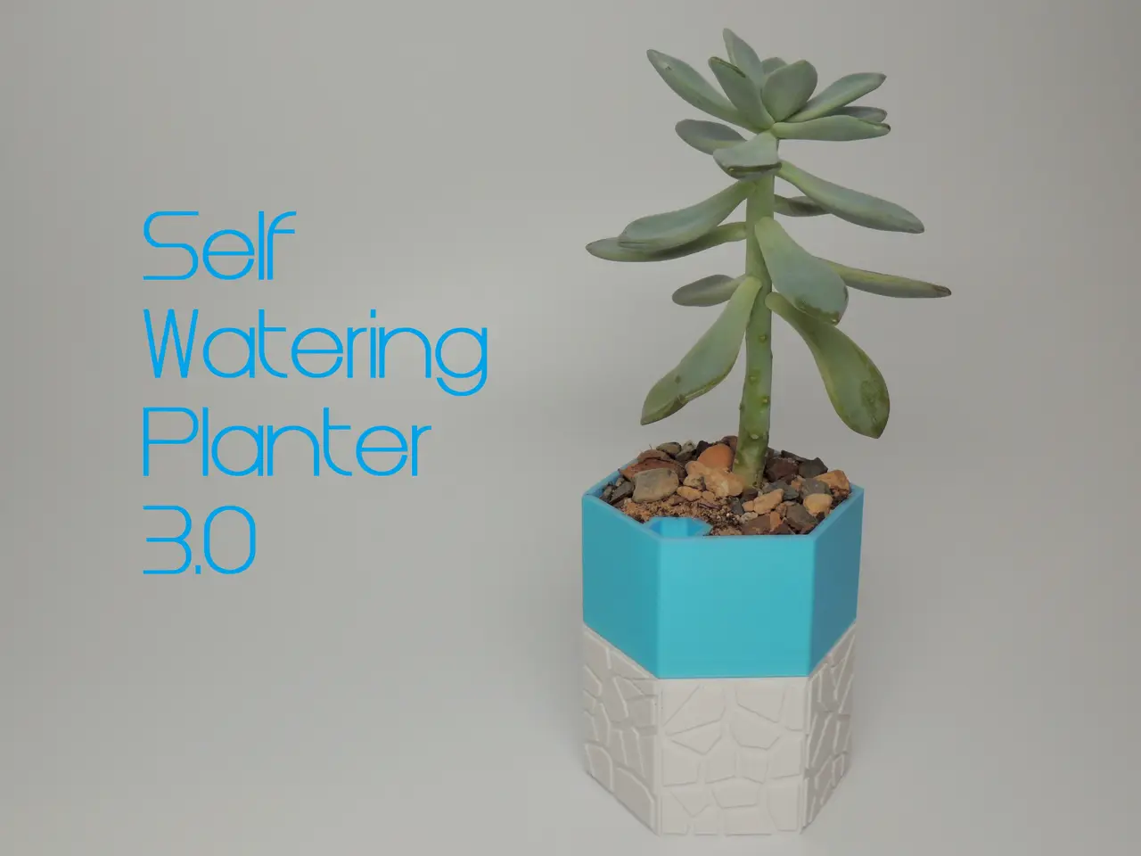 Self-watering Planter 3 — modelo 3D