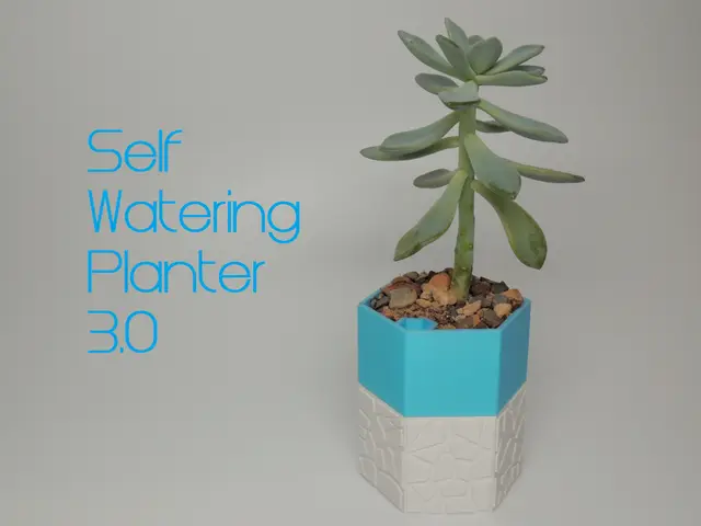 Self-watering Planter 3 — modelo 3D