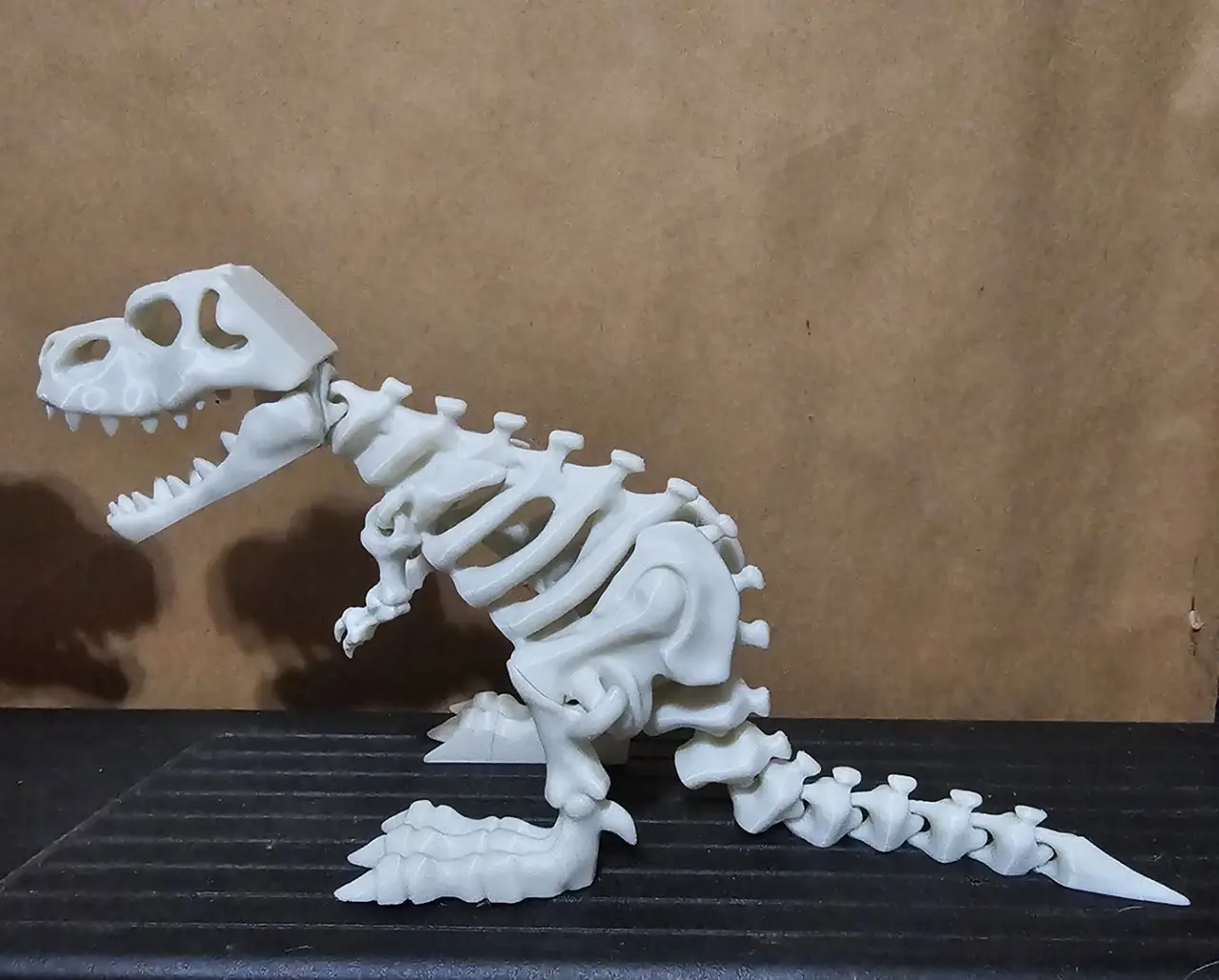 Articulated dinosaur skeleton — modelo 3D