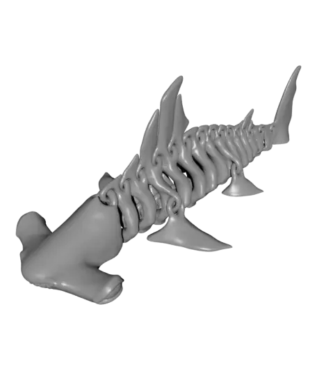 Hammerhead Shark Bones — modelo 3D