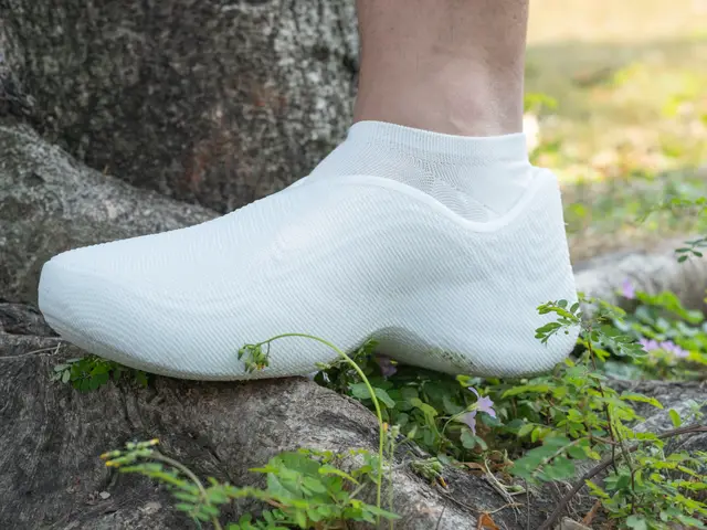 Bubbleberry - a 3D printed round-toe casual shoe — modelo 3D