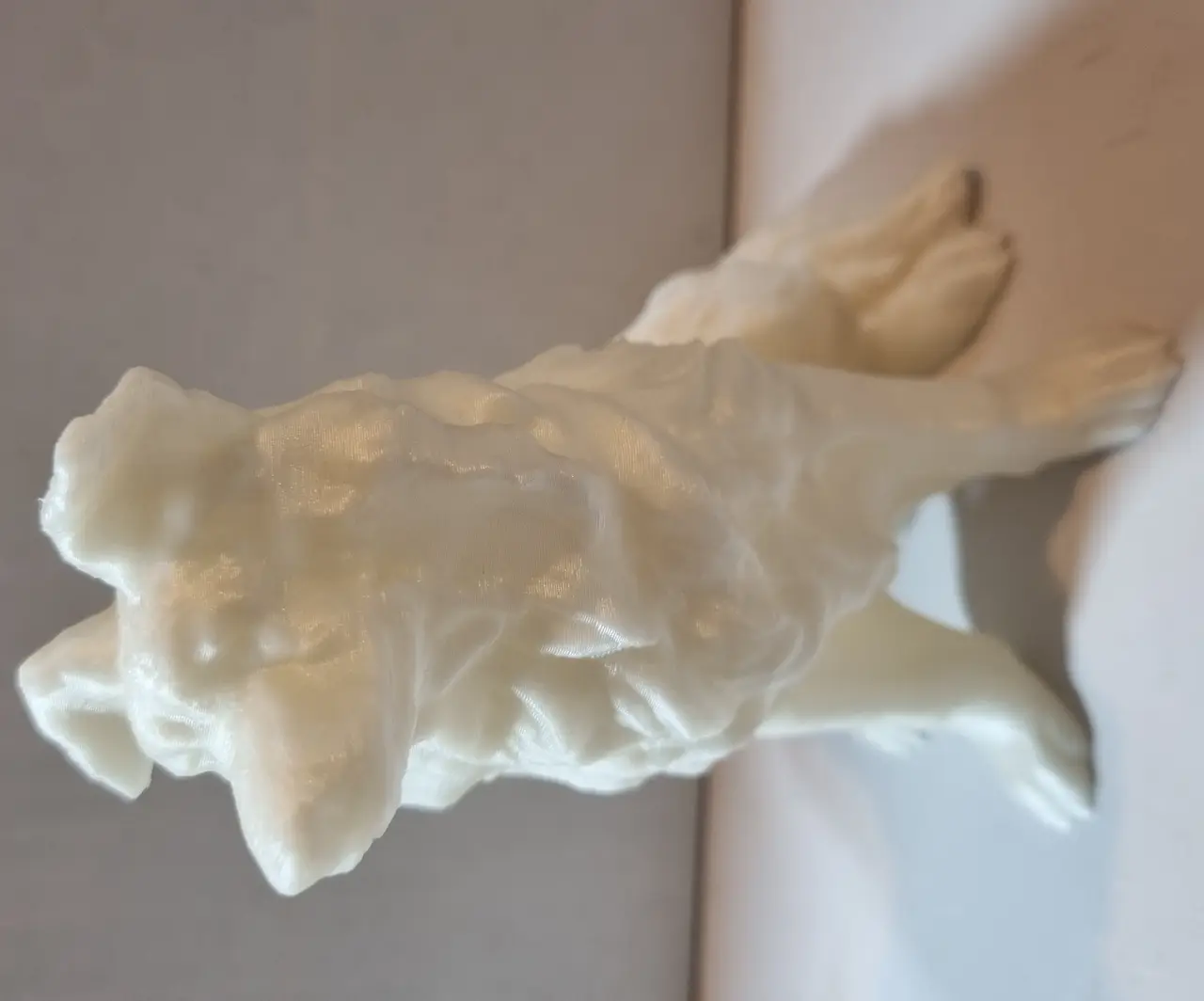Border Collie Dog — modelo 3D