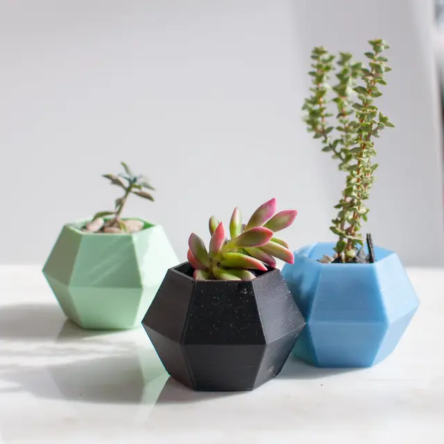 Hexagon Succulent Planter — modelo 3D