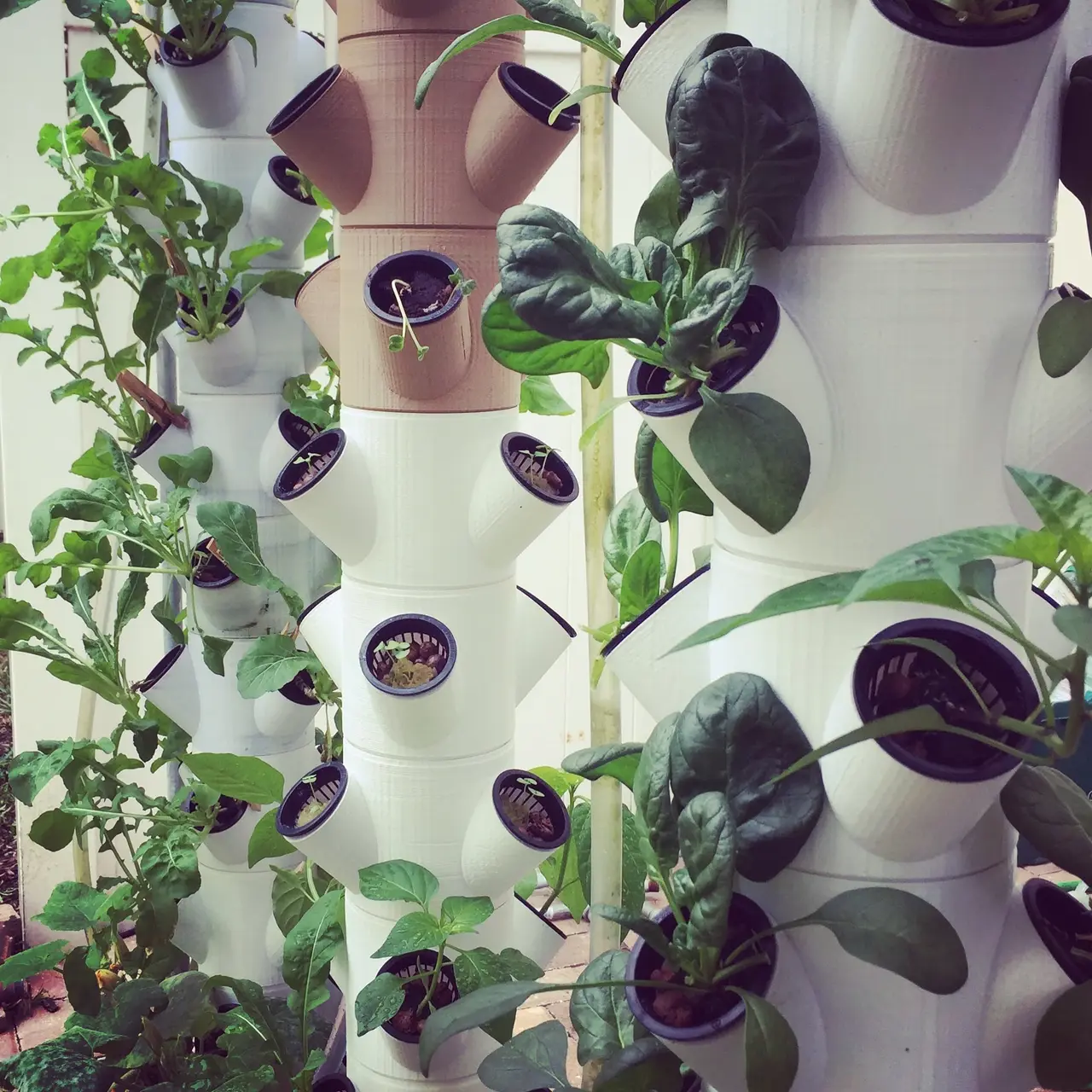 Modular Hydroponic System — modelo 3D