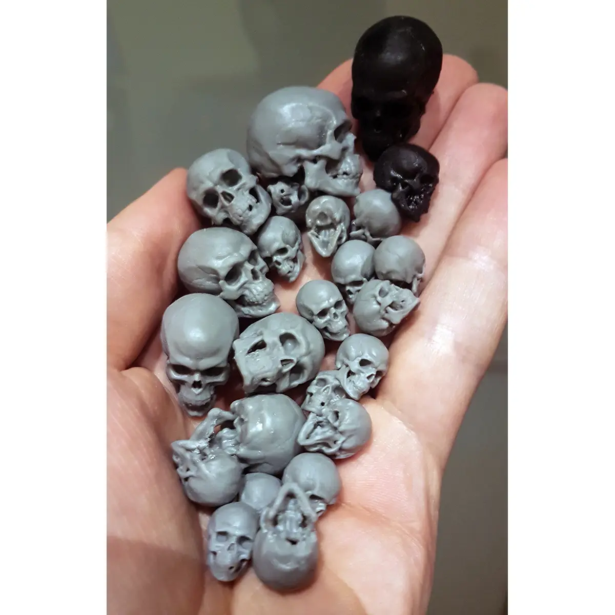 Free Detailed Skull — modelo 3D