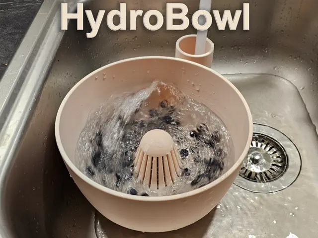 HydroBowl – Smart Fruit & Veggie Washer — modelo 3D