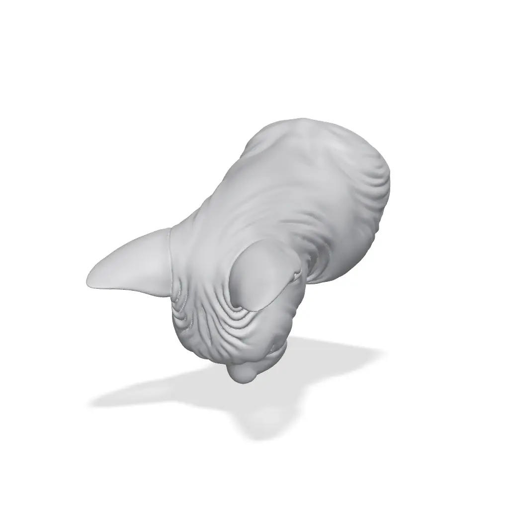 Sphynx Cat Bust 3D Print STL — modelo 3D