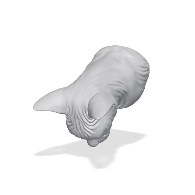 Sphynx Cat Bust 3D Print STL — modelo 3D