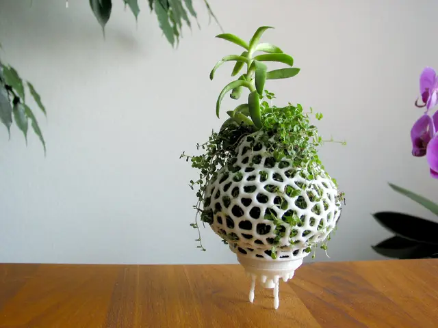Plant Space Rocket — modelo 3D