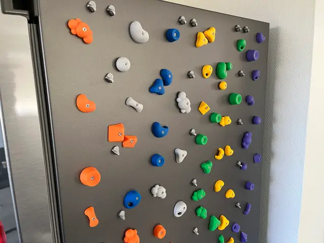 Climbing Hold Fridge Magnets — modelo 3D