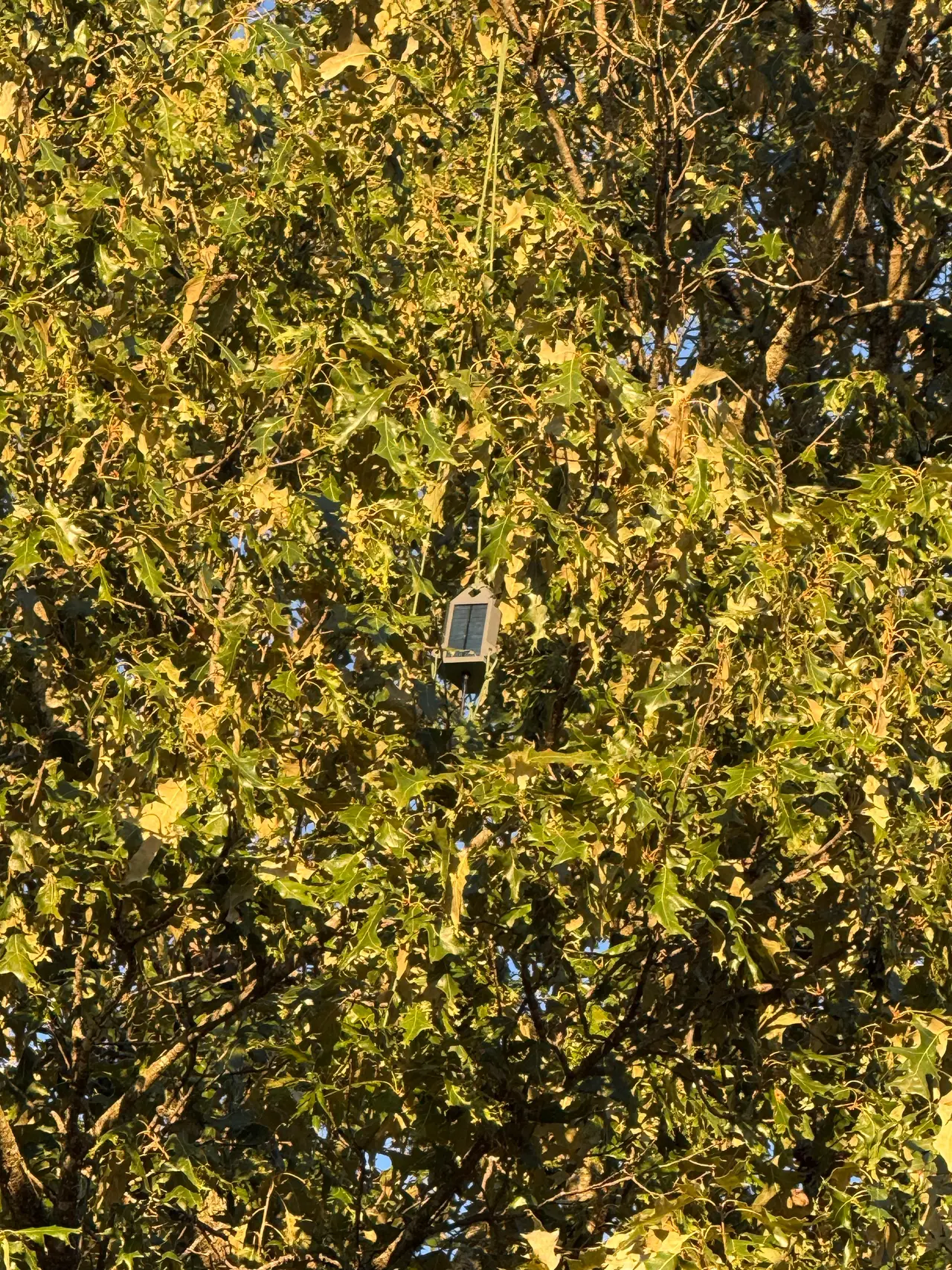 Heltec V4 MeshCore/Meshtastic Solar Tree Node — modelo 3D