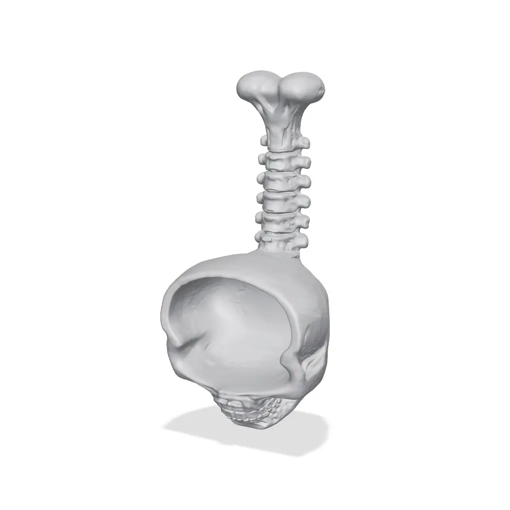 Spooky Skull Pet Scoop- Halloween Dog & Cat Feeder — modelo 3D