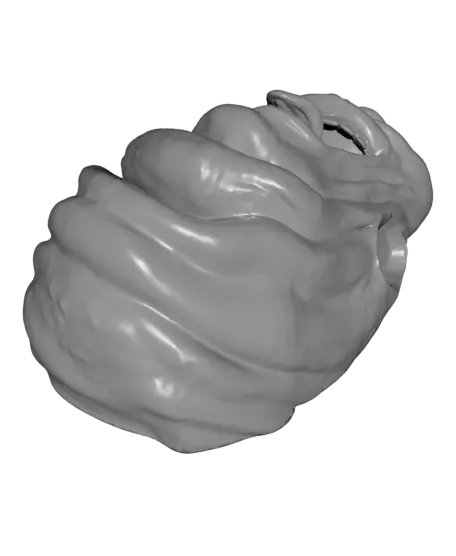Amazing SLIMER from Ghostbusters - Wall hanging — modelo 3D