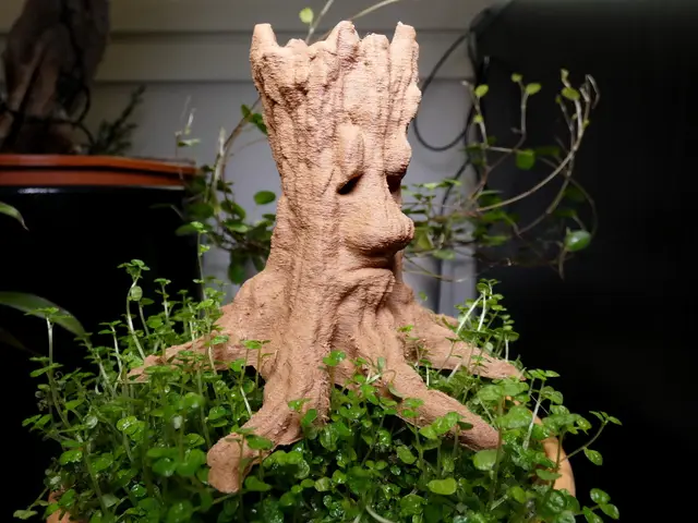 Old Tree Spirit — modelo 3D