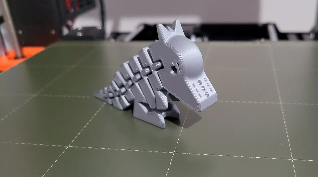 Flexi-pachy — modelo 3D
