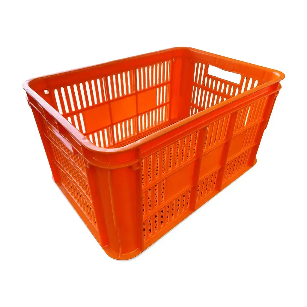scasllop bin — modelo 3D