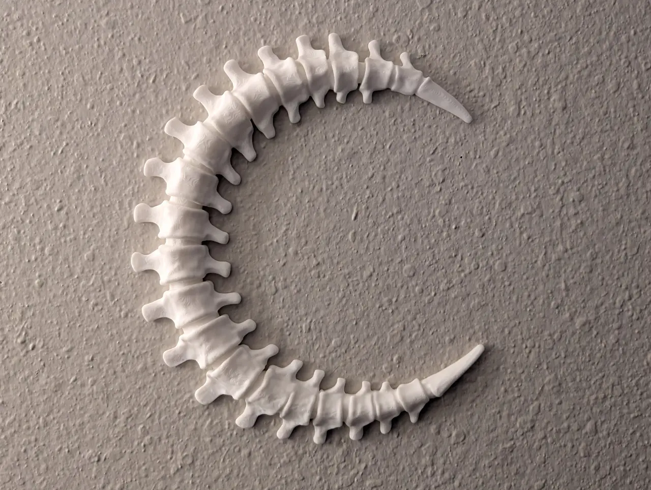Spinal Moon Wall Decoration - 2 Hour Print — modelo 3D