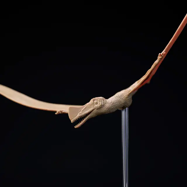 Skiphosoura flying 1-12 scale pre-supported pterosaur FREE — modelo 3D
