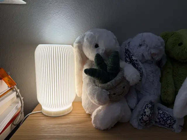 Japandi Ribbed LED Lamp – Frame & Screw-in Base — modelo 3D