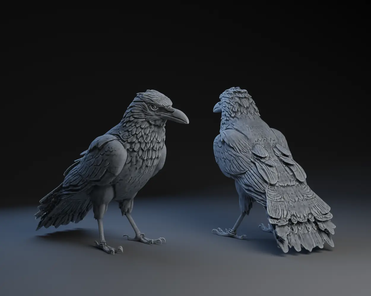 Preening (Puffing) Raven — modelo 3D