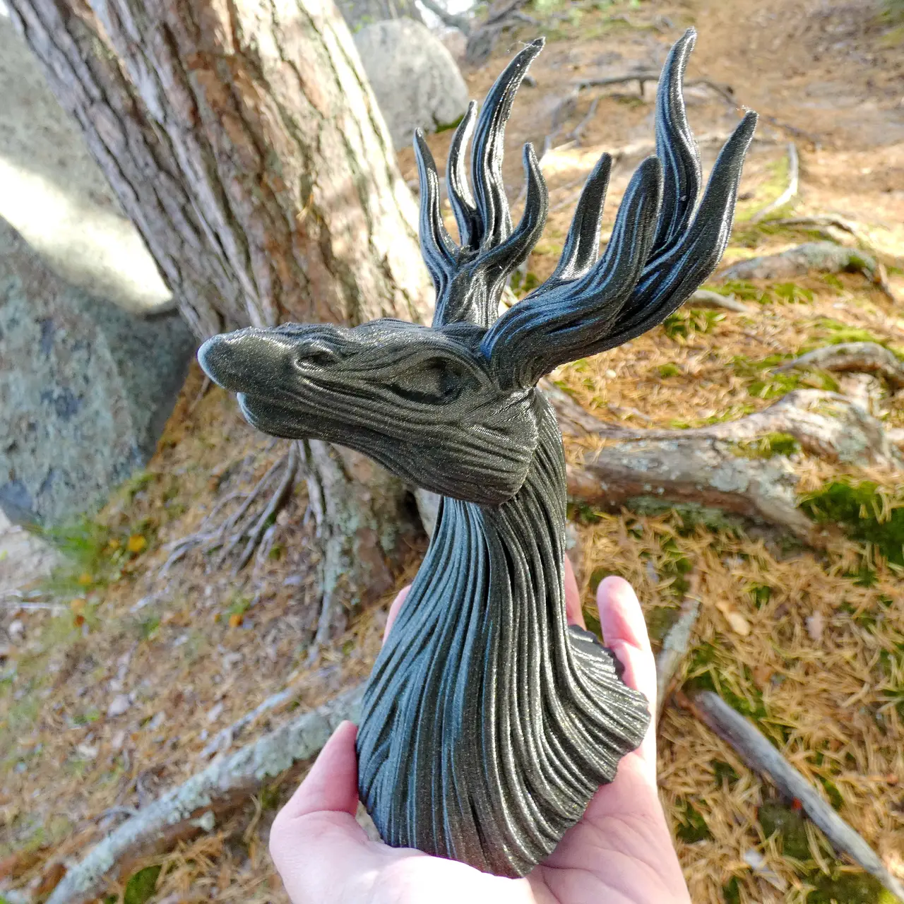 Stagroot — modelo 3D