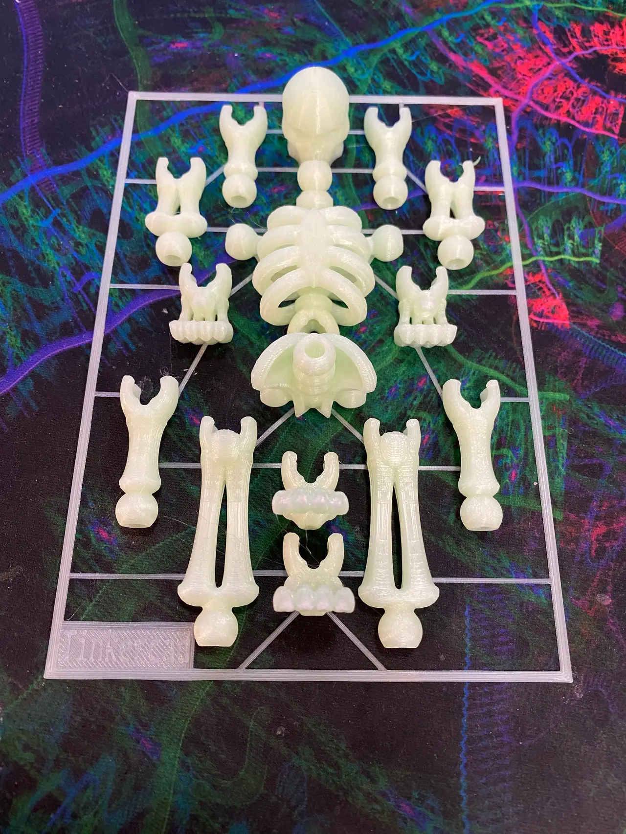 Skeleton Kit Card-Tinkercad — modelo 3D