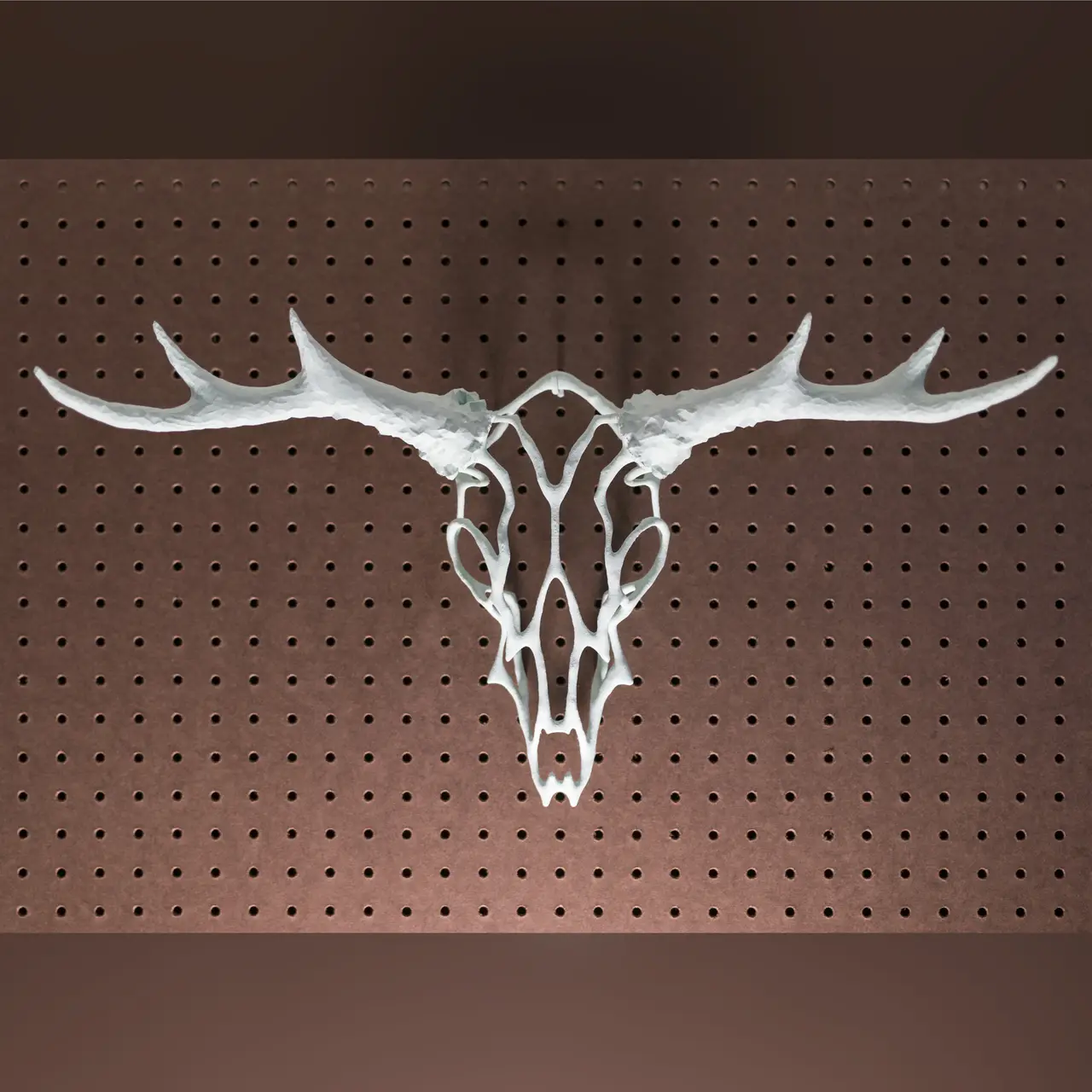 Wire Skull // Deer — modelo 3D