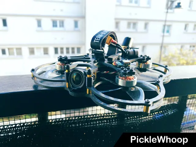 The PickleWhoop (20, 25 & 30) : cinematic whoop frame — modelo 3D