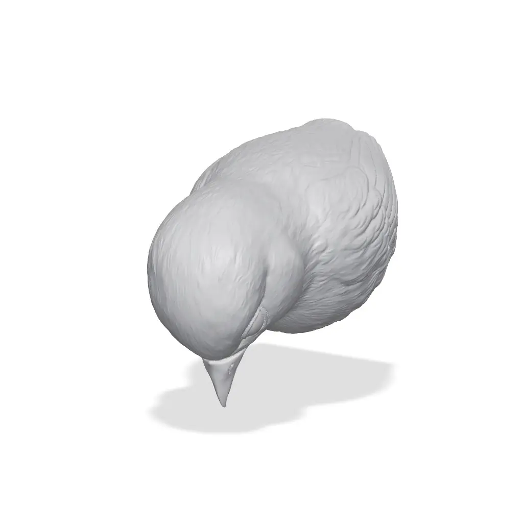 Bluebird Bust 3D Print STL — modelo 3D
