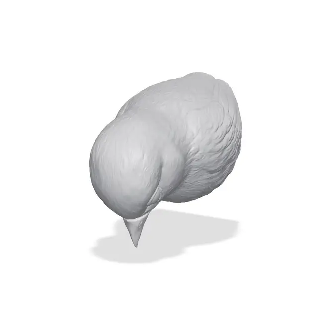 Bluebird Bust 3D Print STL — modelo 3D