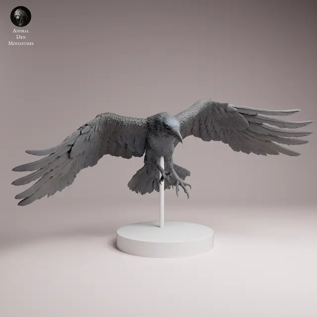 Common Raven Fly — modelo 3D