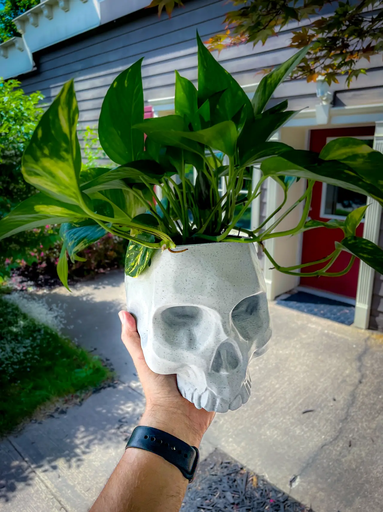 Hanging Skull Planter - NO SUPPORTS! — modelo 3D