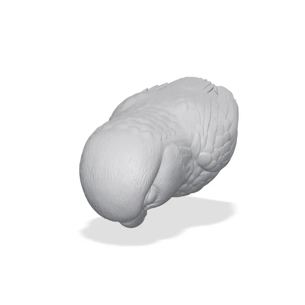 Conure Bust 3D Print STL — modelo 3D