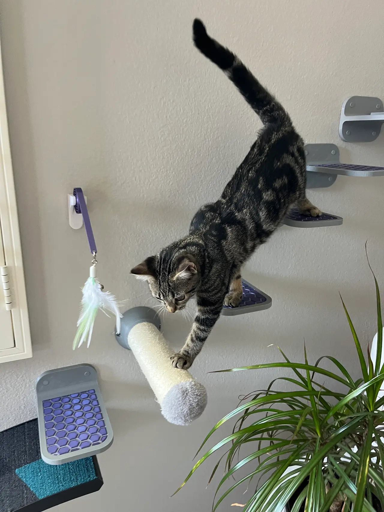 Wall Mounted Cat Step (3 variations) — modelo 3D