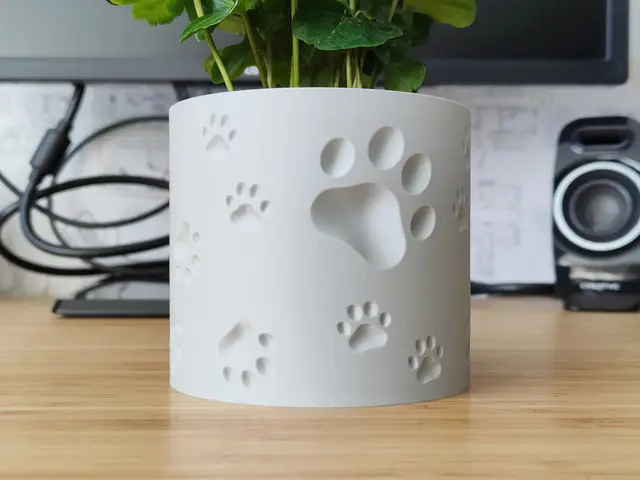 Animal Paw Plant pot and Planter - Vase mode design — modelo 3D